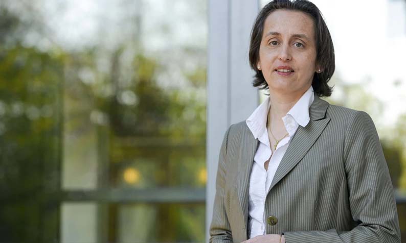 beatrix von storch bruder geheiratet